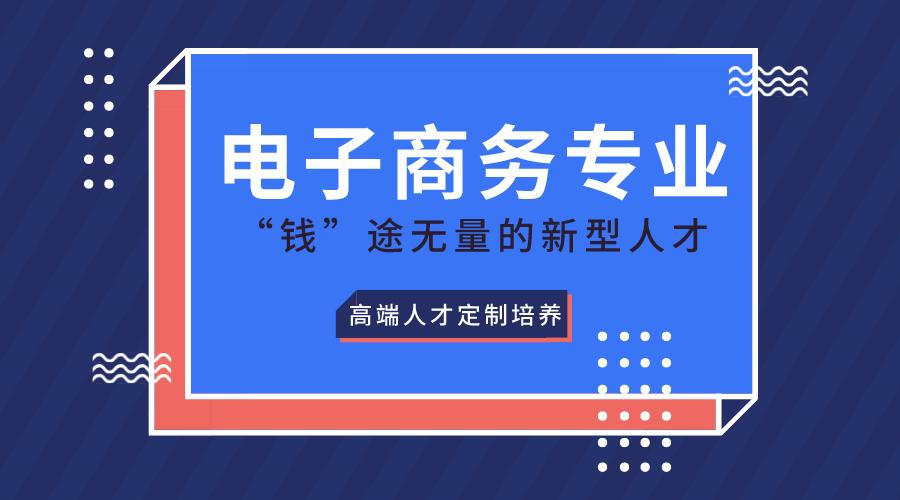 电子商务概述，大类归属、定义、类别与未来发展趋势