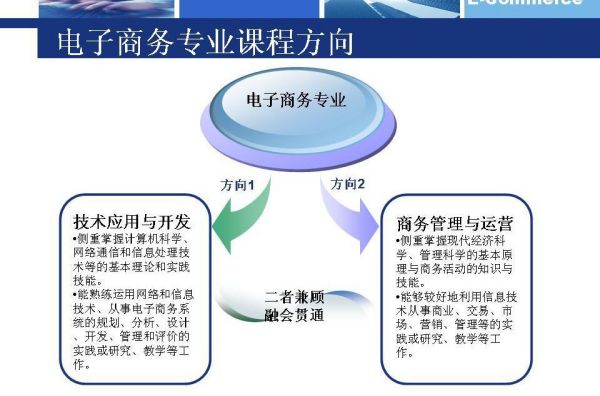 电子商务专业课程核心内容与结构解析