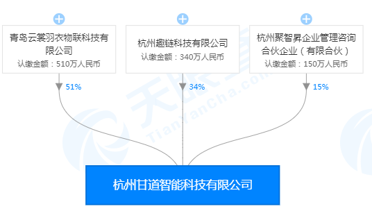 全面深度解析，技术咨询的涵盖范围与要点