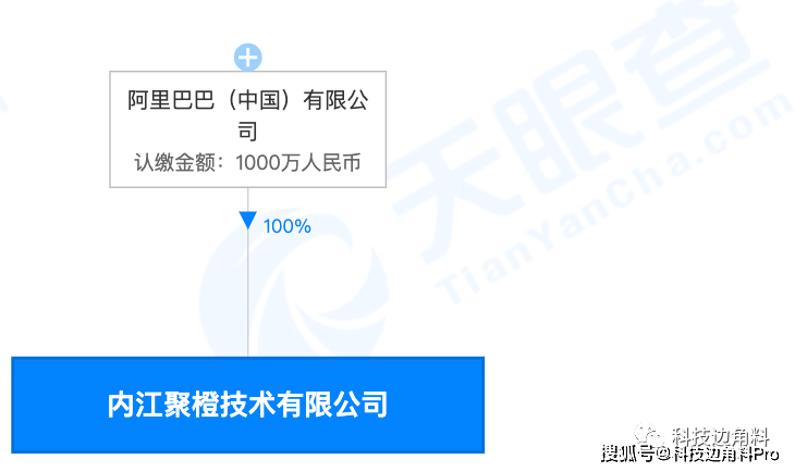 深度解析技术咨询的范围与实际应用，从理论到实践的探索