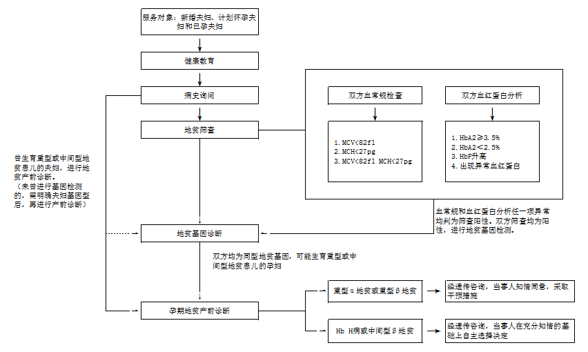 技术服务方案内容详解与解析