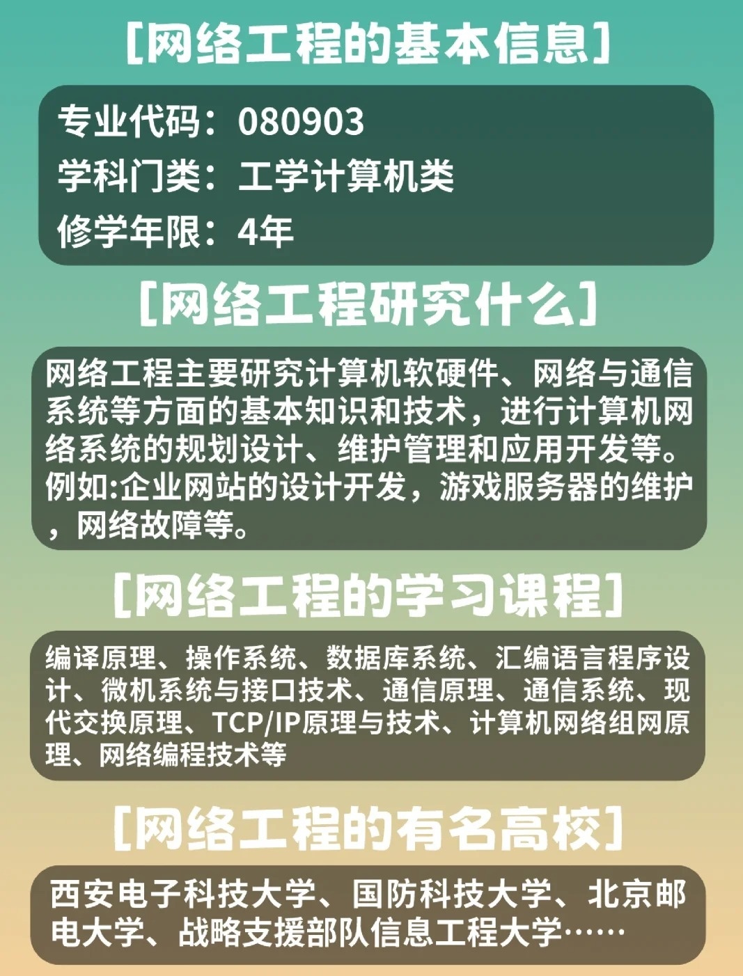 女生学网络工程的挑战与机遇，困难与机遇并存之路