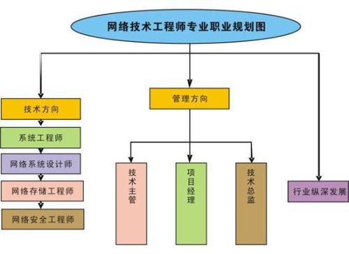 网络工程，构建数字桥梁与纽带