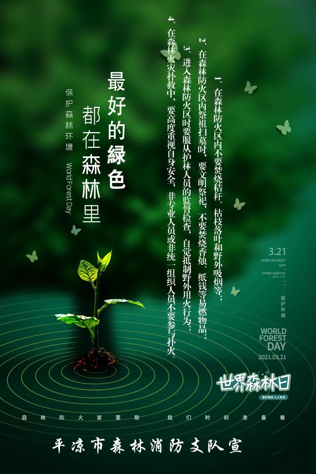 生态公益林计划，全国种植绿色希望，实施路径与重要性探讨