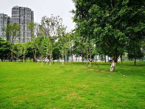 城市绿地建设助力低碳生活提速