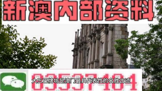 澳门内部免费资料精准大全，探讨与警示