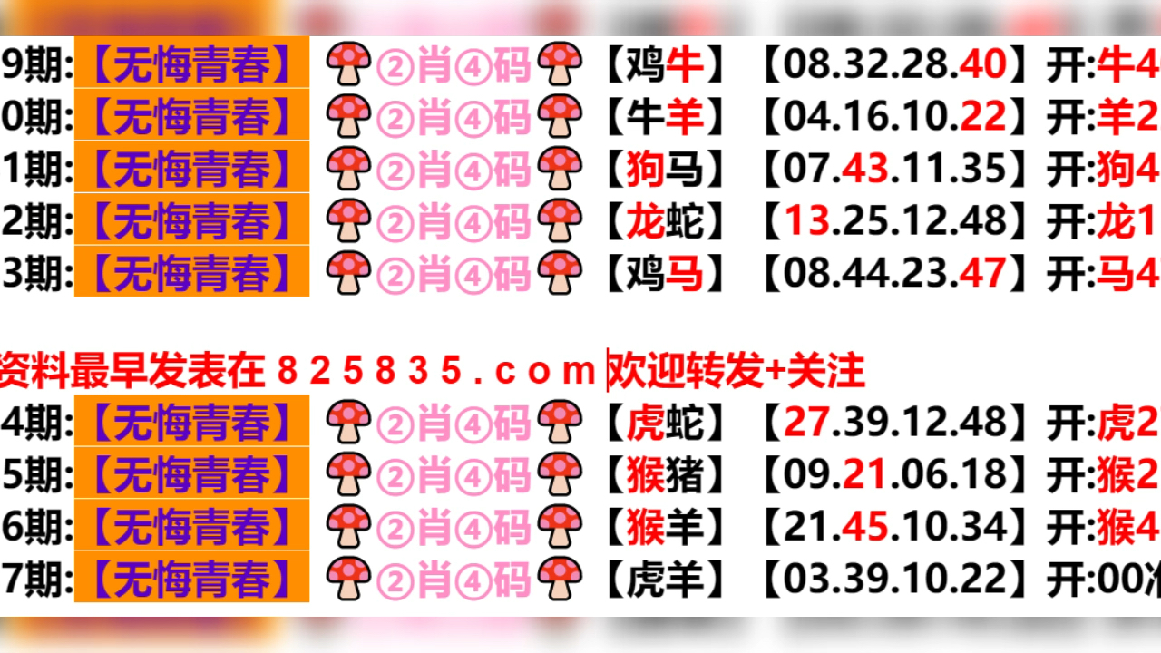 澳门未来展望，聚焦2024年开奖记录与最新开奖结果分析