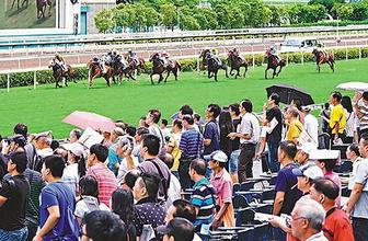 香港马匹最新资料来源及解析速递